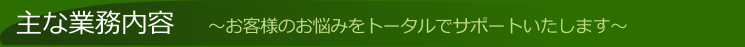 主な業務内容